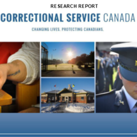 Ethnocultural Offenders in Federal Custody – An Examination of Admission, In-Custody, and Community Supervision Indicators